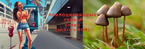 марки nbome Белокуриха